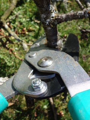 PULVERIZ. P.PREVIA KREATOR 5 TLS